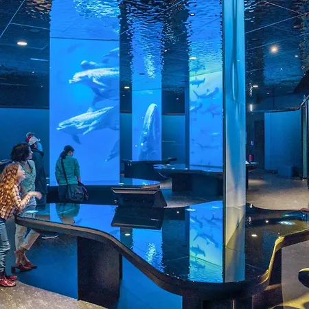 公寓 Pet Friendly Saint-Christophe-du-Foc