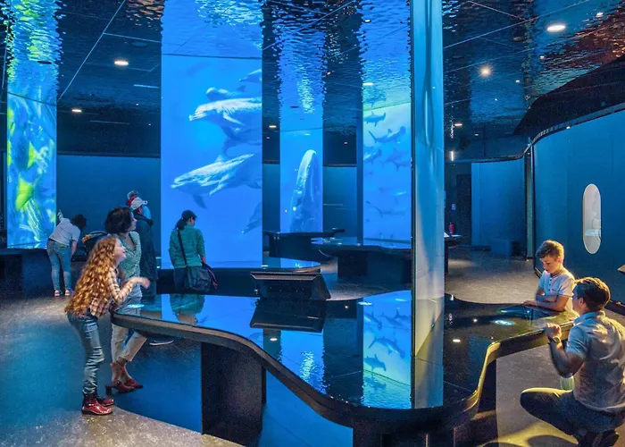 公寓 Pet Friendly Saint-Christophe-du-Foc