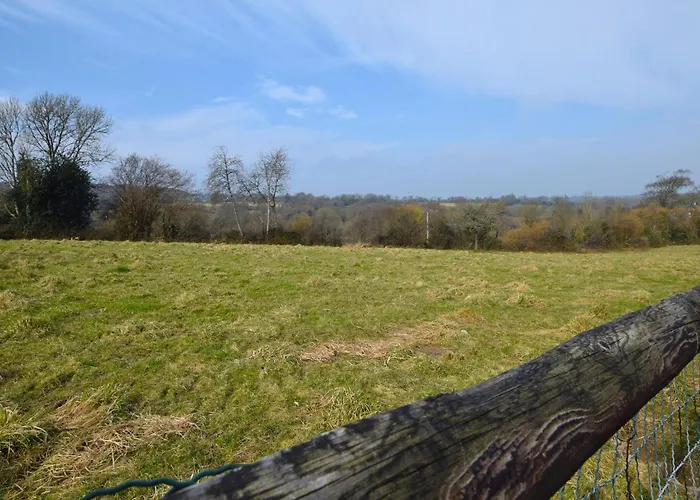 公寓 Pet Friendly *