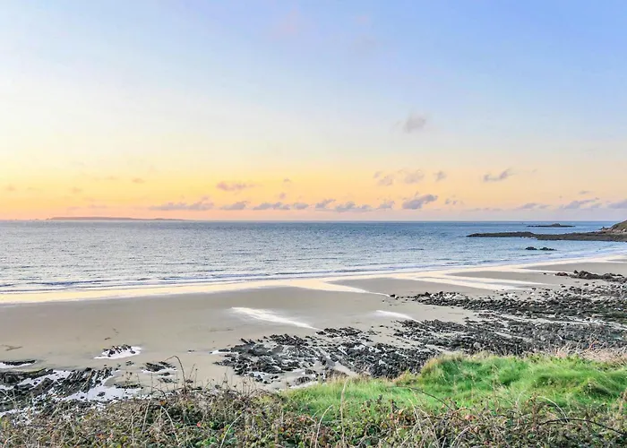 Pet Friendly 公寓 *